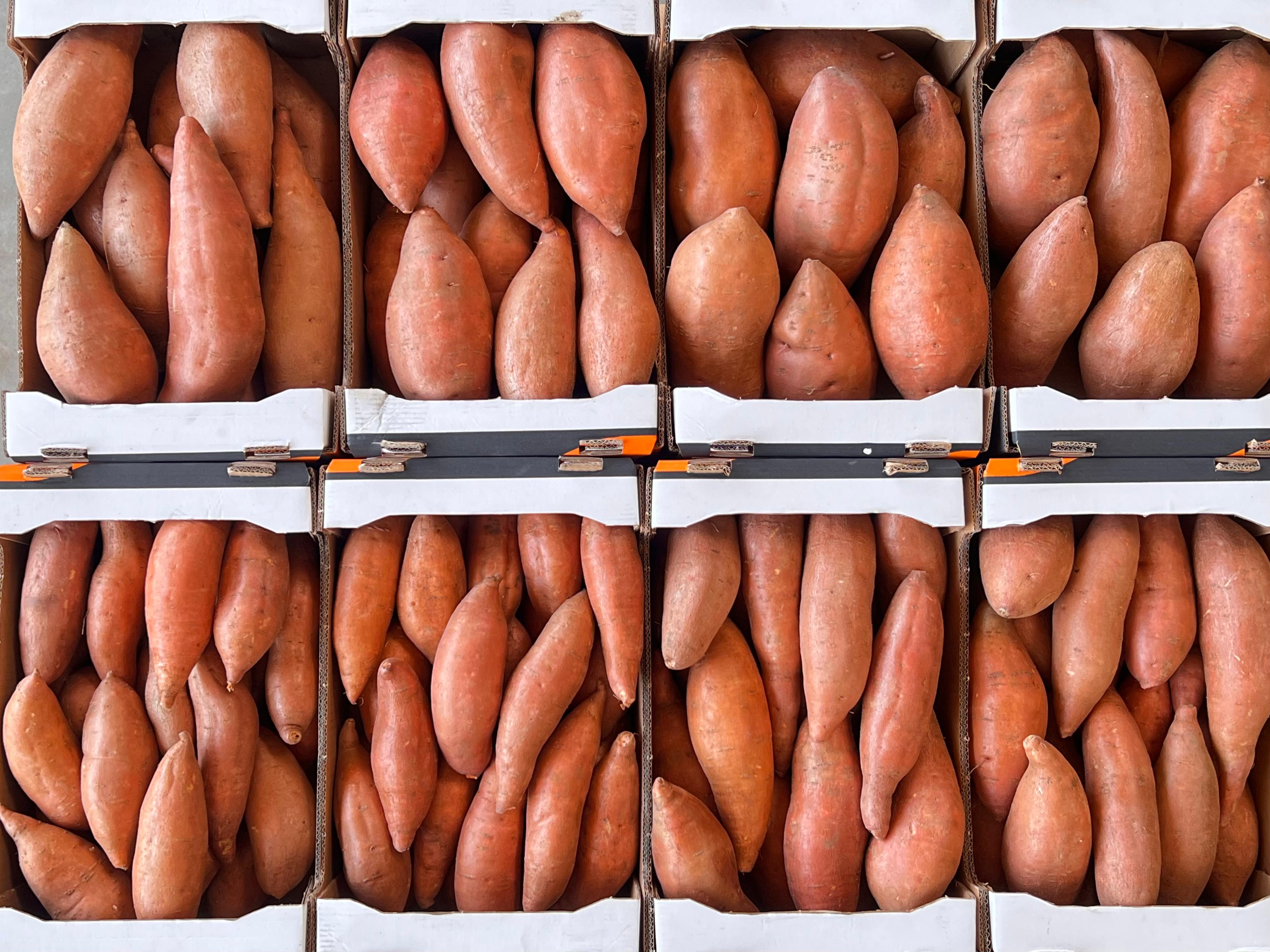 Packaging process
